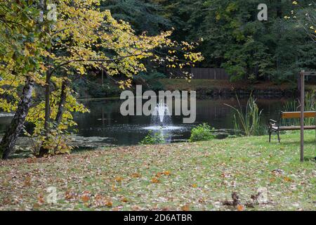 Schlossteich, Gelände der Burg Gmünd, Waldviertel, Österreich Stockfoto