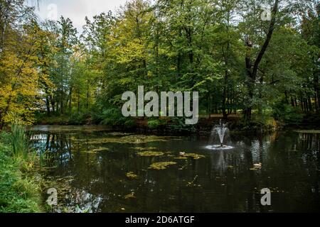 Schlossteich, Gelände der Burg Gmünd, Waldviertel, Österreich Stockfoto