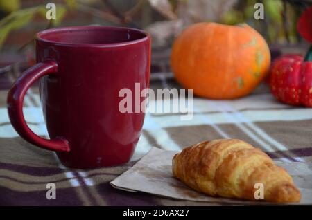 Rote Tasse Tee oder Kaffee und warme karierte Decke auf rustikaler Holzbank, Picknick im Herbstwald. Herbstwochenende. Foto getönte, selektive Fokussierung Stockfoto