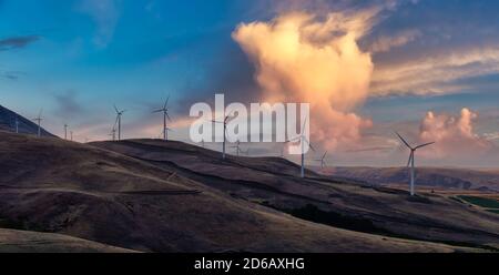 Wunderschöne Panoramaaussicht auf Windenergieanlagen Stockfoto