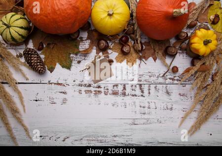 Herbstkomposition mit Blättern, Kürbis und Kastanien auf hellem Hintergrund Stockfoto