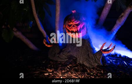 Haunted Halloween-Thema, animierte gruseligen Kürbis mit Rauch Lichter und Zeichen in der Dunkelheit von Bäumen umgeben Stockfoto