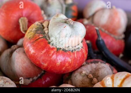 Hochwinkelansicht eines Stapels Turban Squash. Hochwertige Fotos Stockfoto