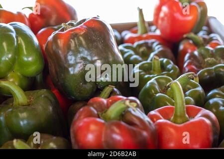 Stapel von roten und grünen Paprika . Hochwertige Fotos Stockfoto