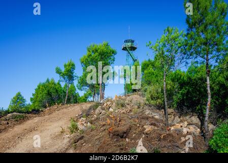 Hoher Waldwachturm auf einem Gipfel. Stockfoto