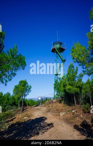 Hoher Waldwachturm auf einem Gipfel. Stockfoto