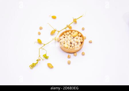 Trockene Kichererbsen und ihr Zweig mit Hülsen isoliert auf weiß. Eine traditionelle Zutat in der gesunden Lebensmittelzubereitung Stockfoto