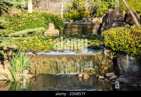 Garten Wasserteich mit Lillies gefüllt, Wasserfälle über Sandstein Felsvorsprung in üppigen Garten umgeben Stockfoto