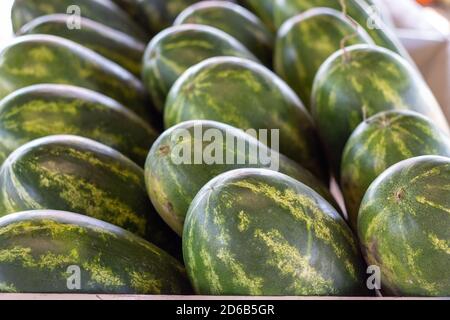 Hochwinkelansicht der Reihen der Wassermelonen im Bauernmarkt. Hochwertige Fotos Stockfoto