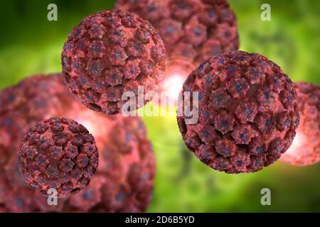 Infektionskrankheit humane Papillomaviruszellen konzeptionelle 3D-Abbildung Stockfoto