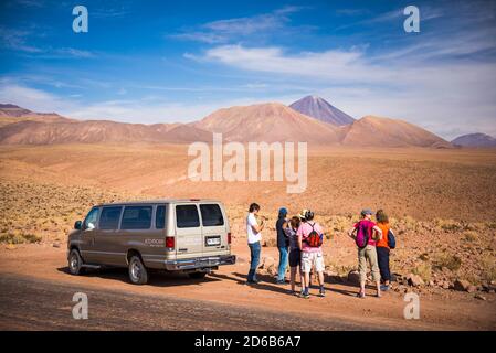 Alto Atacama Desert Lodge Ausflug zum Cactus Valley (Los Cardones Schlucht), Atacama Wüste, Nordchile Stockfoto