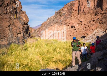 Cactus Valley (Los Cardones Schlucht), Atacama Wüste, Nordchile Stockfoto