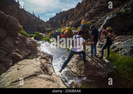 Cactus Valley (Los Cardones Schlucht), Atacama Wüste, Nordchile Stockfoto
