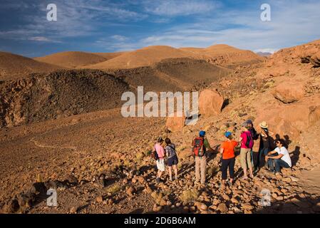 Cactus Valley (Los Cardones Schlucht), Atacama Wüste, Nordchile Stockfoto