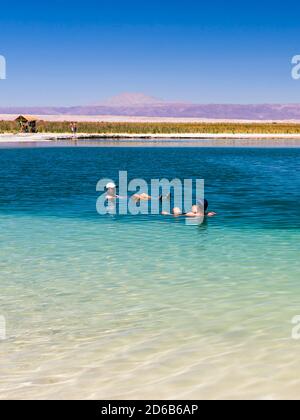 Laguna Cejar (auch bekannt als schwimmende Salzsee-Lagune), Atacama-Wüste, Nordchile Stockfoto