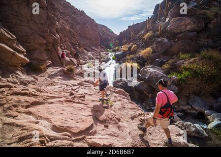 Cactus Valley (Los Cardones Schlucht), Atacama Wüste, Nordchile Stockfoto