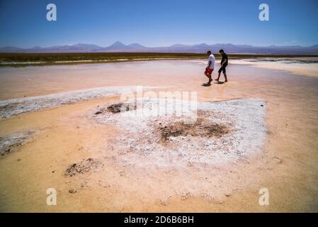 Laguna Cejar (auch bekannt als schwimmende Salzsee-Lagune), Atacama-Wüste, Nordchile Stockfoto