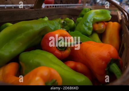 Rohe rote und grüne Paprika mit Stielen in einer Tonne auf einem Bauernmarkt. Die Sonne scheint auf der dicken, satten, leuchtend roten Haut. Stockfoto