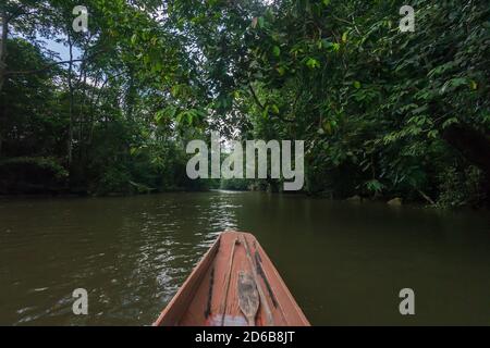 Mulu National Forest Park befindet sich im Miri Bezirk von Sarawak Stockfoto