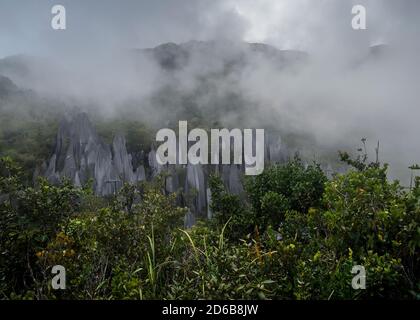 Mulu National Forest Park befindet sich im Miri Bezirk von Sarawak Stockfoto