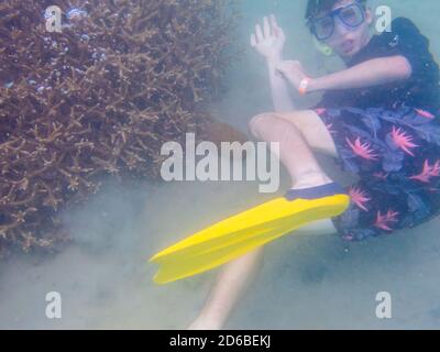 Great Keppel Island, Queensland, Australien - Dezember 2019: Ein junger Schnorchler erschreckt von der Kamera, als er im trüben Wasser auf einem Shall schwimmt Stockfoto