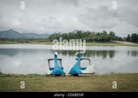 Die Landschaft der zwei Schwanenradboote Parken auf dem See an einem bewölkten Tag in Chiang Rai, Thailand. Stockfoto