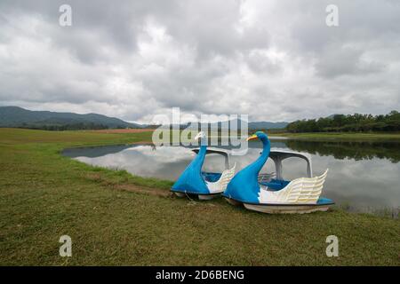 Die Landschaft der zwei Schwanenradboote Parken auf dem See an einem bewölkten Tag in Chiang Rai, Thailand. Stockfoto