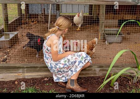 Townsville, Queensland, Australien - Juni 2020: Junge blonde Kaukasierin sitzt auf einem Posten und beobachtet ihre Hühner, die in ihrem Stift kratzen Stockfoto