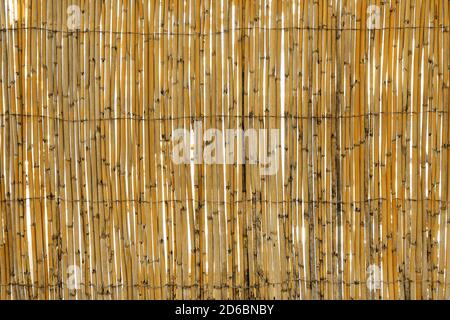 Textur von Bambus Zaun aus Bambus-Streifen mit einem rostigen Metalldraht verbunden. Braun Bambus Zaun Textur Hintergrund Stockfoto