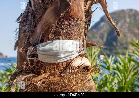 Medizinische Maske auf einer Palme. Reiseverbotskonzept. Coronavirus covid Pandemie Stockfoto