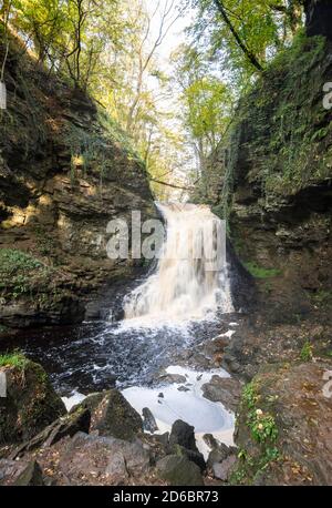Hareshaw Linn ein Wasserfall in der Nähe von Bellingham in Northumberland, England, Großbritannien Stockfoto