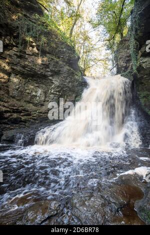 Hareshaw Linn ein Wasserfall in der Nähe von Bellingham in Northumberland, England, Großbritannien Stockfoto