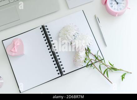 Frau Arbeit Platz auf weißem Tisch Notizblock, Bleistifte Pflanze Wecker Draufsicht Stockfoto