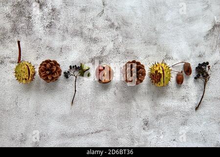 Herbstkomposition aus getrockneten Blättern, Zweigen, Tannenzapfen, Beeren, Eicheln und Hand mit Tasse Kaffee auf dunklem Betongrund. Vorlage Stockfoto