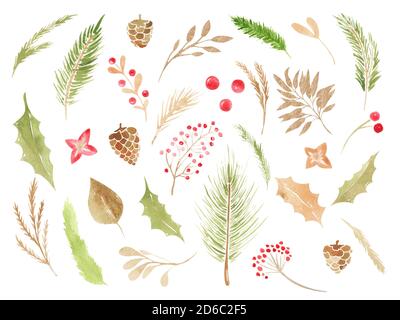 Weihnachten Boho Cliparts. Aquarell Winter Blumenset. Urlaub Zweige, Blätter, Zapfen, Beeren, Nadelzweige, Blätter Elemente. Weihnachten Clip Art. Stockfoto