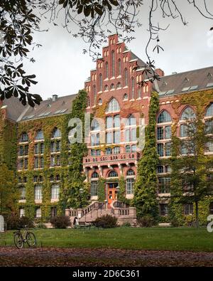 Die rote Backsteinfassade ist mit grünem Efeu bedeckt Die Universitätsbibliothek in Lund Schweden Stockfoto