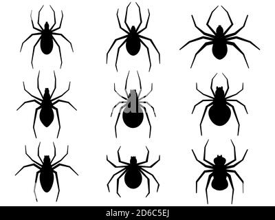 Symbole für Spinnen eingestellt. Schwarze Silhouetten von Spinnen isoliert auf weißem Hintergrund. Vektorgrafik Stock Vektor
