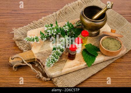 Die Verwendung von Kräutern in der Volksmedizin, Flaschen von Tinkturen. Studio Foto Stockfoto