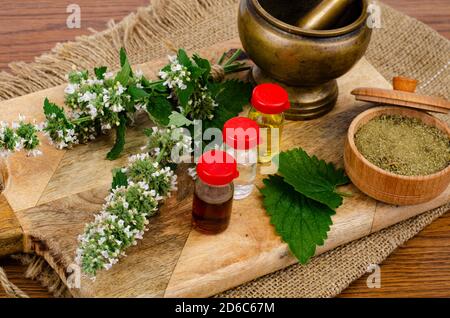 Die Verwendung von Kräutern in der Volksmedizin, Flaschen von Tinkturen. Studio Foto Stockfoto