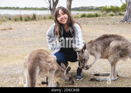 Schöne junge chinesische weibliche Fütterung Kängurus Stockfoto