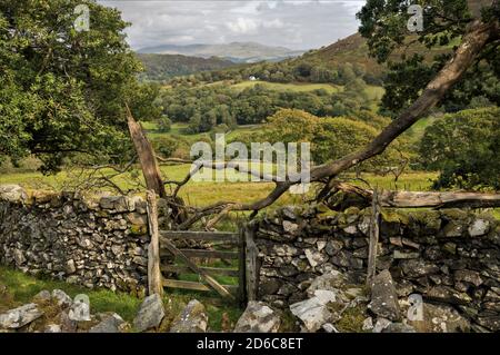 Blick vom Pecipice Walk in der Nähe von Dolgellau, Gwynedd North Wales, Großbritannien. Stockfoto