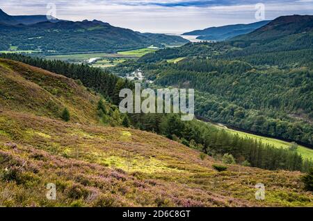 Blick vom Pecipice Walk in der Nähe von Dolgellau, Gwynedd North Wales, Großbritannien. Stockfoto