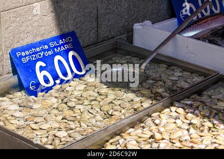 Die verschiedenen, unterschiedlichen Muscheln werden auf einem Markt in Neapel angeboten. Der Schlitzlöffel ist ein muss für den Verkäufer. Stockfoto