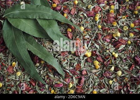 Hintergrund von getrockneten Kräutern und Wildblumen Stockfoto