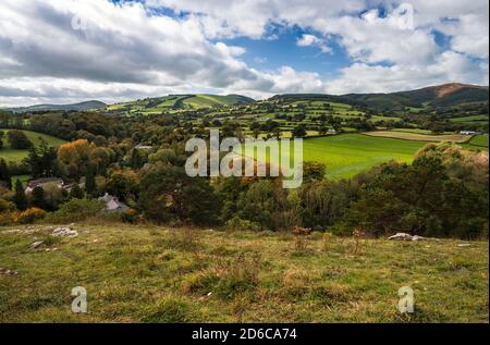 Der Leete-Pfad im Loggerheads Country Park, Denbighshire, North Wales Großbritannien. Stockfoto