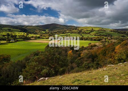 Der Leete-Pfad im Loggerheads Country Park, Denbighshire, North Wales Großbritannien. Stockfoto