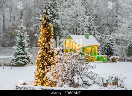 Weihnachtsdekoration Lichter im Hausgarten im Winter im Freien beleuchtet. LED-Leuchten auf immergrünen heimischen Thuja occidentalis Baum im Blumenbeet. Stockfoto