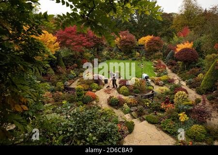 Rentnerehepaar Tony und Marie Newton neigen dazu, ihre Vier Jahreszeiten Garten als es in herbstlichen Farben platzt an ihrem Haus in Walsall, West Midlands. Stockfoto