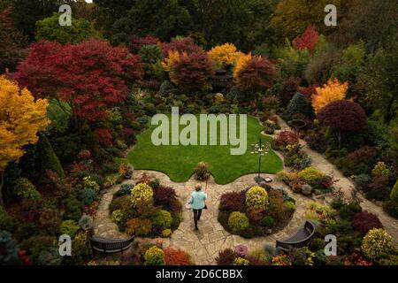 Rentnerehepaar Tony und Marie Newton neigen dazu, ihre Vier Jahreszeiten Garten als es in herbstlichen Farben platzt an ihrem Haus in Walsall, West Midlands. Stockfoto