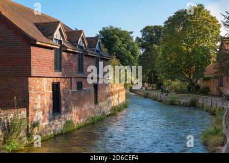 Winchester River, Blick im Sommer auf den Fluss Itchen im Zentrum von Winchester, Hampshire, England, Großbritannien Stockfoto